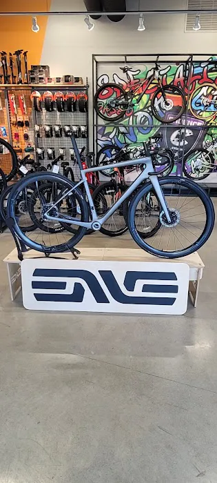 Cadence Cyclery of Encinitas Picture 9