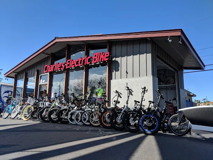 Charlie's Electric Bike Picture 6