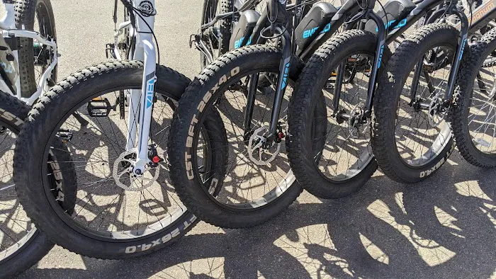 Charlie's Electric Bike Picture 8