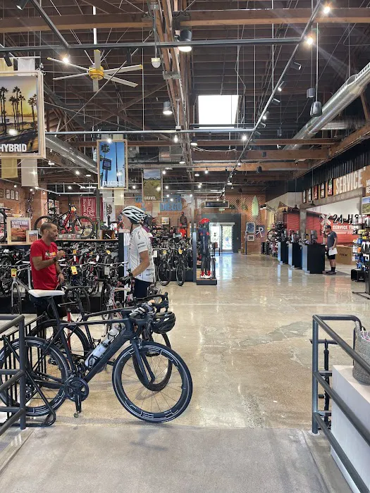 Trek Bicycle Encinitas Picture 5
