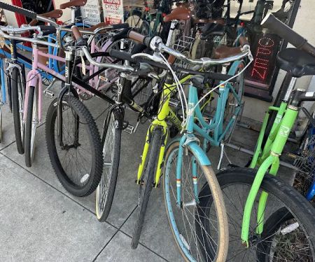 Gonzo Cycles