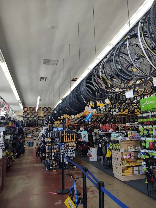 BikeBling Picture 4