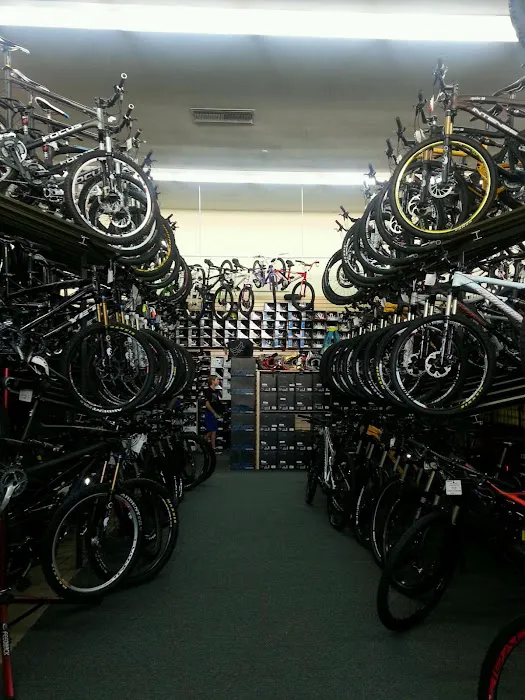 BikeBling Picture 6
