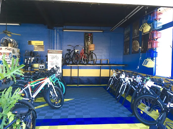 San Diego Electric Bike - Solana Beach Picture 5