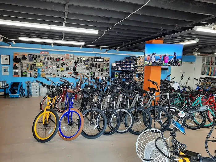 Dynamite Electric Bikes Picture 8