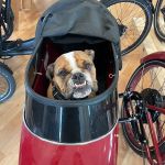 Mad Dogs & Englishmen Bike Shop, Montecito