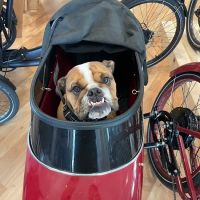 Mad Dogs & Englishmen Bike Shop, Montecito ico