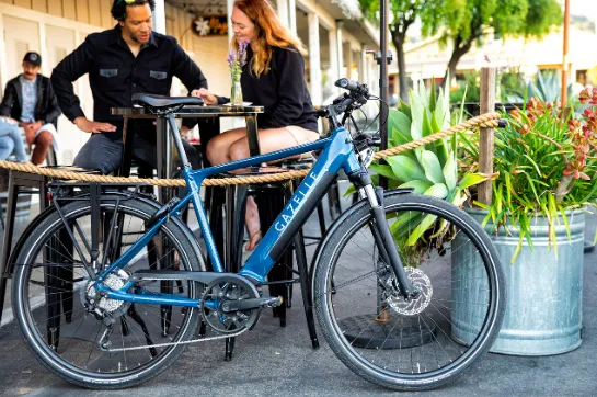e-BIKERY Electric Bikes Rentals, Services, and Sales Picture 10