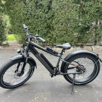 Rad Power Bikes - Electric Bike Sales & Test Rides ico
