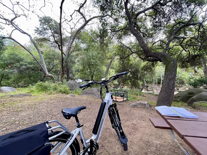 Rad Power Bikes - Electric Bike Sales & Test Rides Picture 9