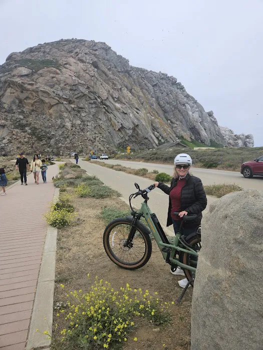 Rad Power Bikes - Electric Bike Sales & Test Rides Picture 10