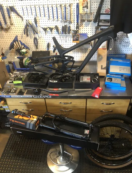 Stape Cycles Picture 5