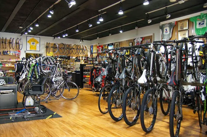 Fastrack Bicycles Picture 4