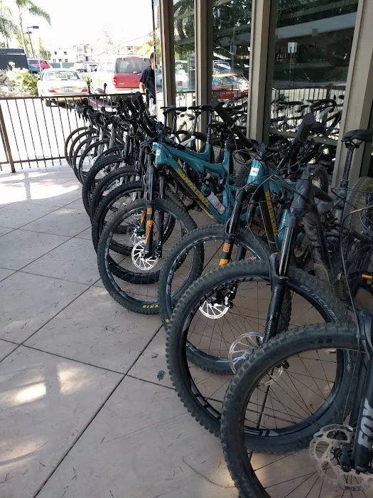 Velo Pro Cyclery Picture 1