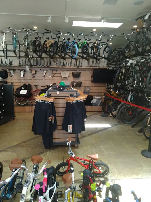 Velo Pro Cyclery Picture 7