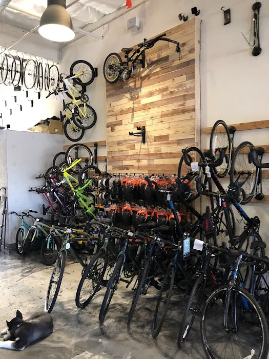 Poway Bicycle Picture 8