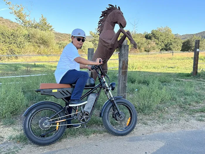 FREEGO e-bikes Shop San Diego Picture 4