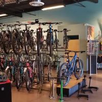 Black Mountain Bicycles ico