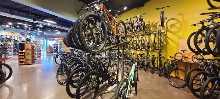 Black Mountain Bicycles Picture 6