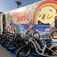 Culture Ebikes ico