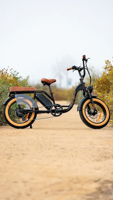 Culture Ebikes Picture 7