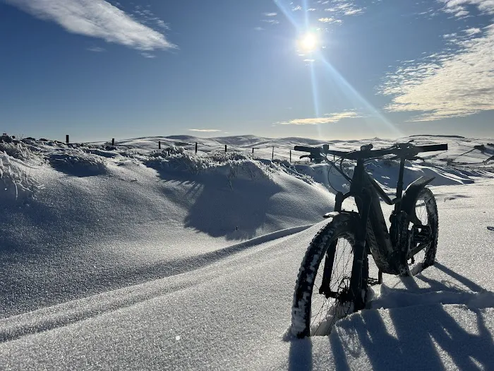 North of the Border Bicycle Picture 1