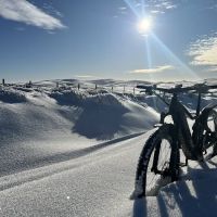 North of the Border Bicycle ico