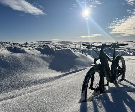 North of the Border Bicycle