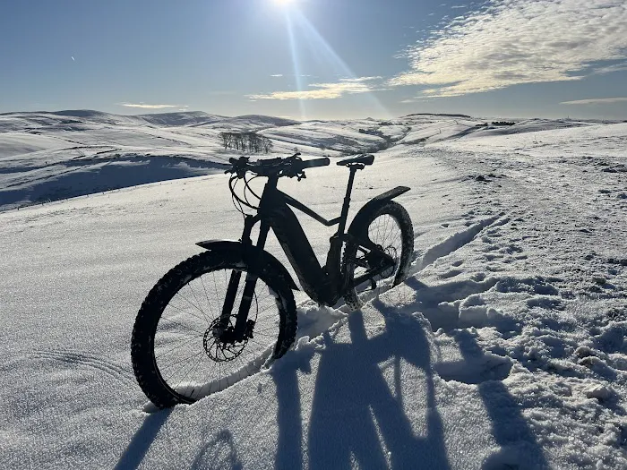 North of the Border Bicycle Picture 5
