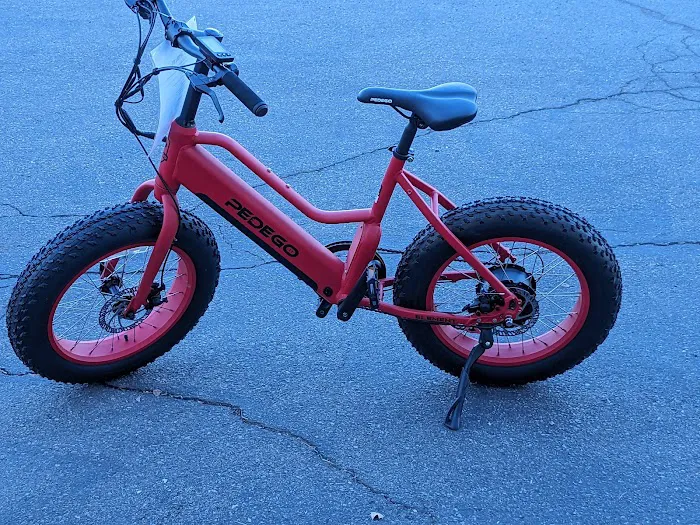 Ramona E-bikes Picture 2