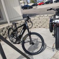 Ramona E-bikes ico