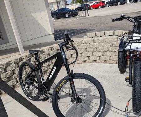 Ramona E-bikes