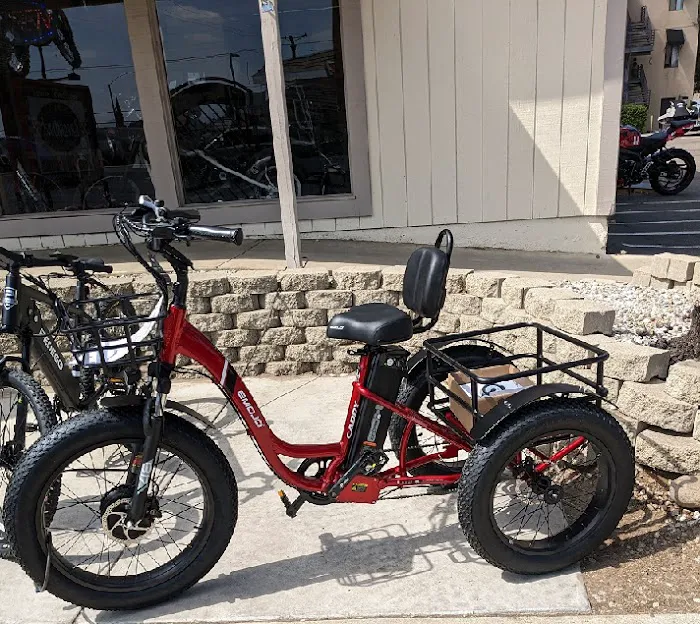 Ramona E-bikes Picture 5