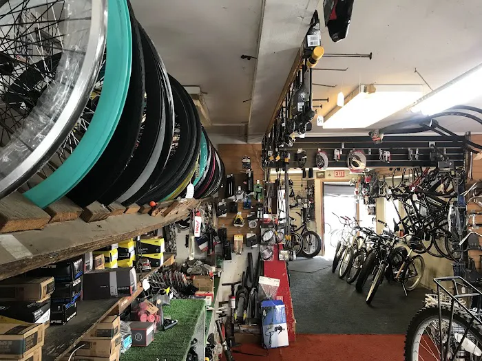 Isla Vista Bicycle Boutique Picture 3