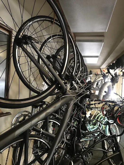 Isla Vista Bicycle Boutique Picture 9