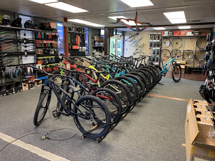 Chainline Bikes Picture 4