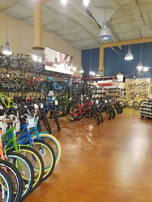 Trek Bicycle La Mesa Picture 2