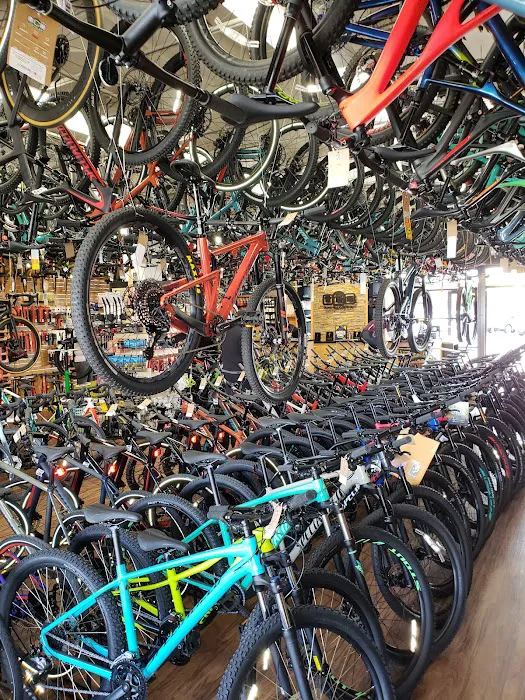UC Cyclery Picture 6