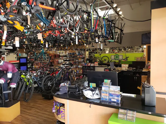 UC Cyclery Picture 5
