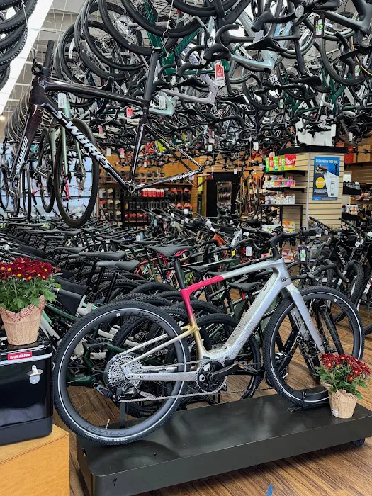 UC Cyclery Picture 9