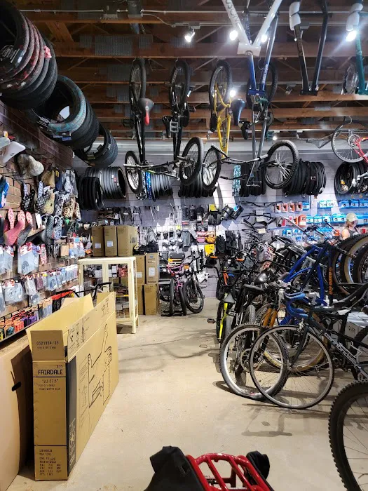 SD Wheel Works Bicycle Garage Picture 6