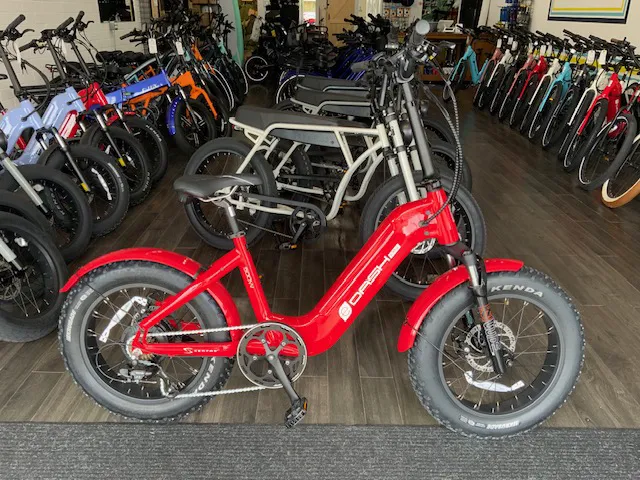 La Jolla Ebike & Skate Picture 5