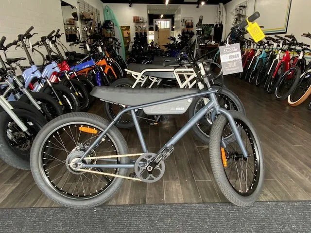 La Jolla Ebike & Skate Picture 10