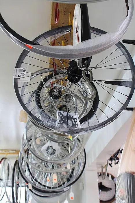 Pedal Pushing Bicycle Shop Picture 2