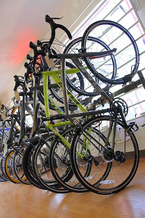 Pedal Pushing Bicycle Shop Picture 8