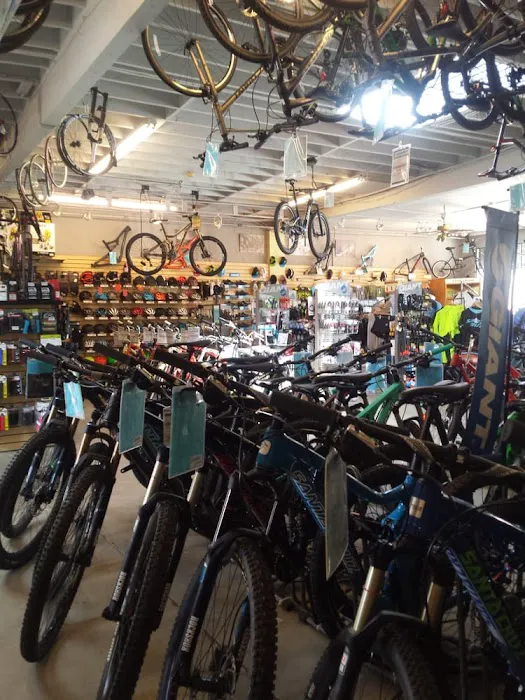 Cal Coast Bicycles Picture 1