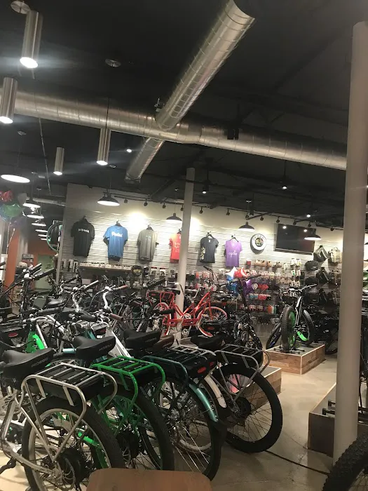 Pedego Electric Bikes La Jolla Picture 2