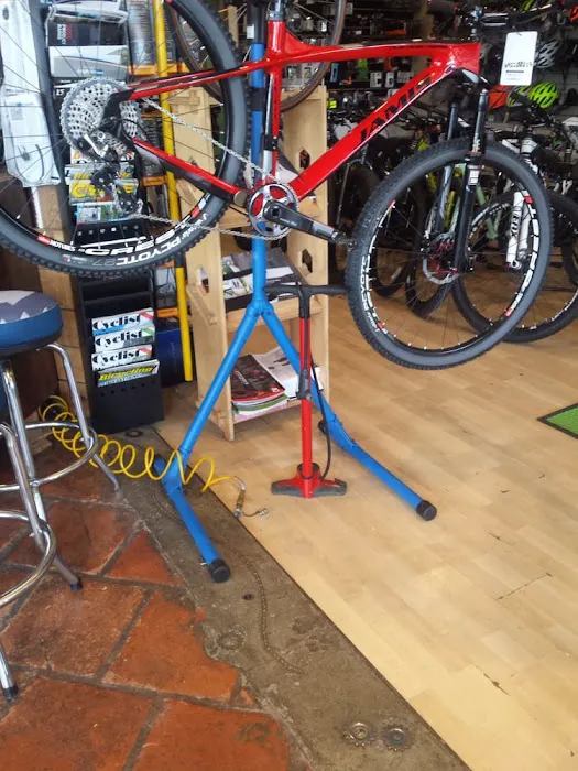 Adams Avenue Bicycles Picture 3