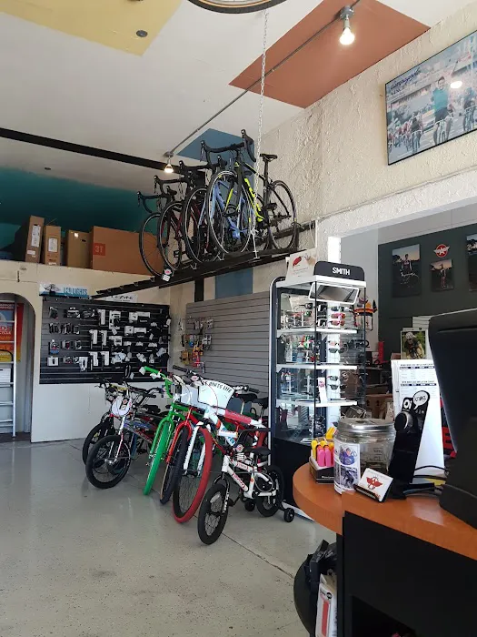 Adams Avenue Bicycles Picture 10