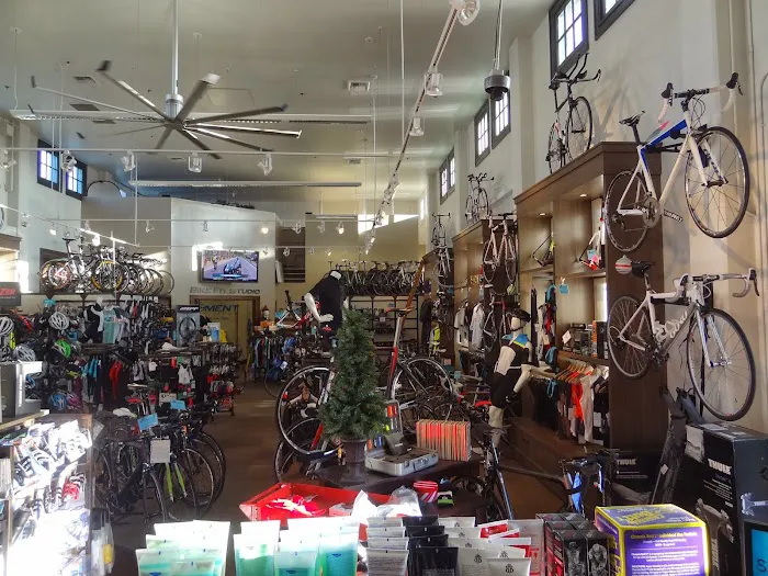 Moment Bicycles Picture 4